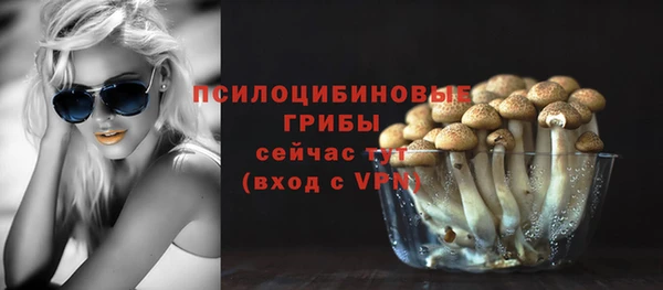 эйфоретик Вязники