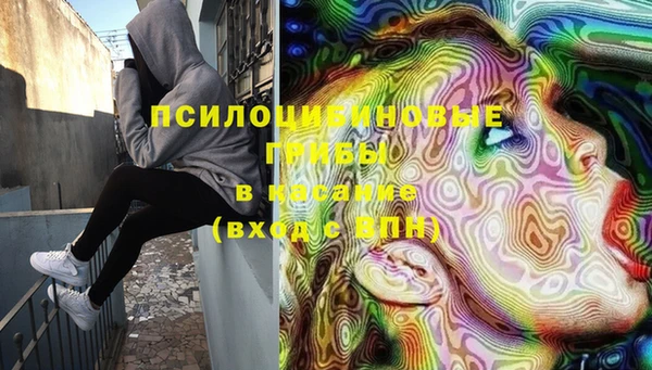 герыч Вяземский