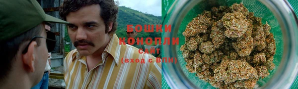 дмт Вязьма