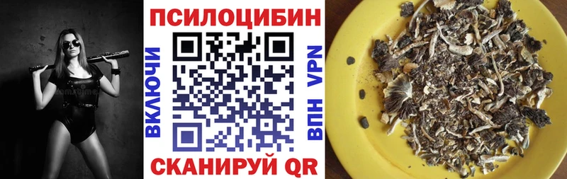 Купить закладки  Новоуральск  Псилоцибиновые грибы GOLDEN TEACHER 
