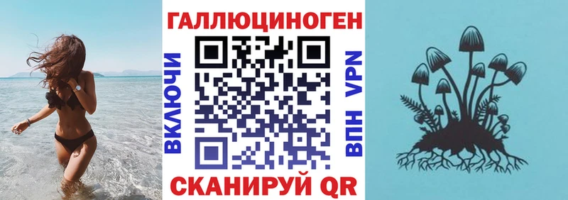 Галлюциногенные грибы Psilocybine cubensis Новоуральск